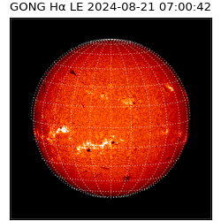 gong - 2024-08-21T07:00:42