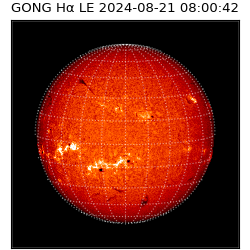 gong - 2024-08-21T08:00:42