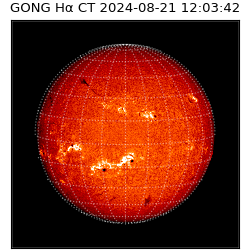 gong - 2024-08-21T12:03:42