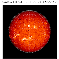 gong - 2024-08-21T13:02:42