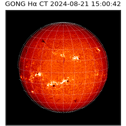 gong - 2024-08-21T15:00:42