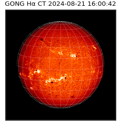 gong - 2024-08-21T16:00:42