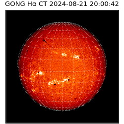 gong - 2024-08-21T20:00:42