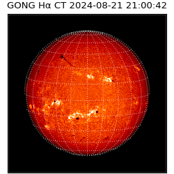 gong - 2024-08-21T21:00:42