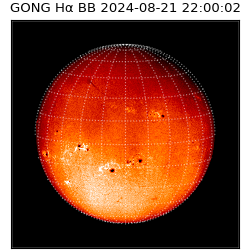 gong - 2024-08-21T22:00:02