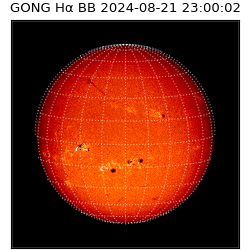 gong - 2024-08-21T23:00:02