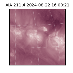 saia - 2024-08-22T16:00:21.632000