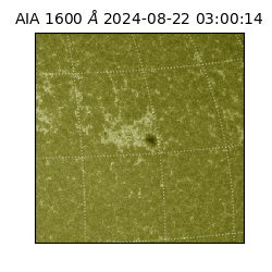 saia - 2024-08-22T03:00:14.125000