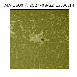 saia - 2024-08-22T13:00:14.126000