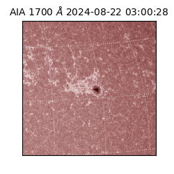 saia - 2024-08-22T03:00:28.717000