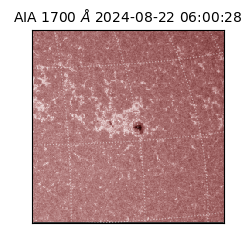 saia - 2024-08-22T06:00:28.717000