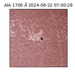 saia - 2024-08-22T07:00:28.717000