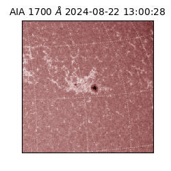 saia - 2024-08-22T13:00:28.717000