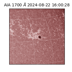 saia - 2024-08-22T16:00:28.717000