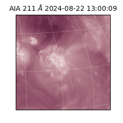 saia - 2024-08-22T13:00:09.626000