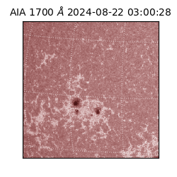 saia - 2024-08-22T03:00:28.717000