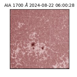 saia - 2024-08-22T06:00:28.717000