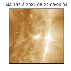 saia - 2024-08-22T08:00:04.835000