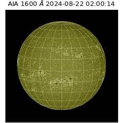 saia - 2024-08-22T02:00:14.126000