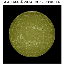 saia - 2024-08-22T03:00:14.125000