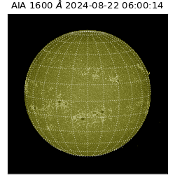 saia - 2024-08-22T06:00:14.126000