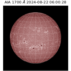 saia - 2024-08-22T06:00:28.717000