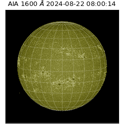 saia - 2024-08-22T08:00:14.118000