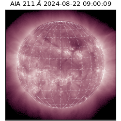 saia - 2024-08-22T09:00:09.640000