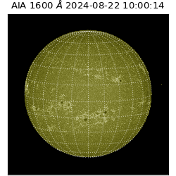 saia - 2024-08-22T10:00:14.130000