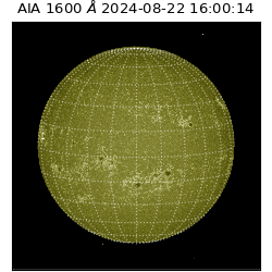 saia - 2024-08-22T16:00:14.126000