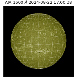 saia - 2024-08-22T17:00:38.126000