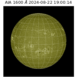 saia - 2024-08-22T19:00:14.126000