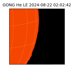 gong - 2024-08-22T02:02:42