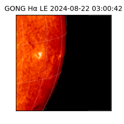 gong - 2024-08-22T03:00:42