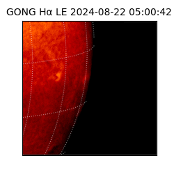 gong - 2024-08-22T05:00:42