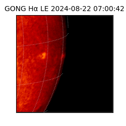 gong - 2024-08-22T07:00:42