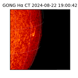 gong - 2024-08-22T19:00:42