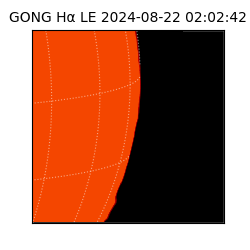 gong - 2024-08-22T02:02:42