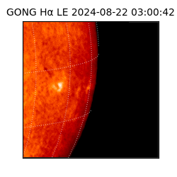 gong - 2024-08-22T03:00:42