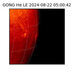 gong - 2024-08-22T05:00:42