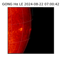 gong - 2024-08-22T07:00:42