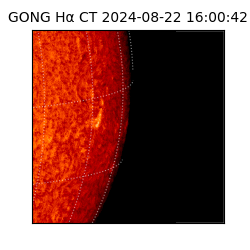 gong - 2024-08-22T16:00:42