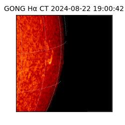 gong - 2024-08-22T19:00:42