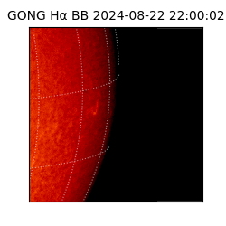 gong - 2024-08-22T22:00:02