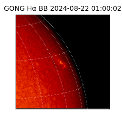 gong - 2024-08-22T01:00:02