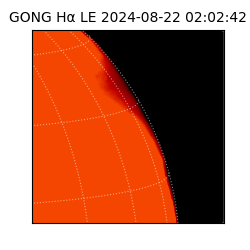 gong - 2024-08-22T02:02:42