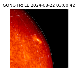 gong - 2024-08-22T03:00:42