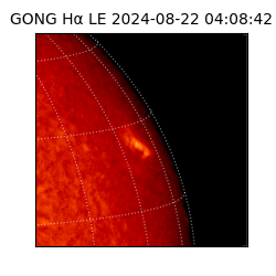 gong - 2024-08-22T04:08:42