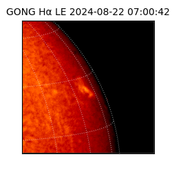 gong - 2024-08-22T07:00:42