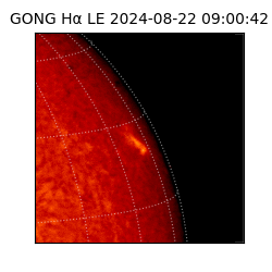 gong - 2024-08-22T09:00:42